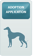 Greyhound Adoption Application