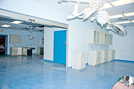 Kennel Surgical Facility